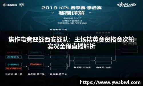 必一运动体育官网