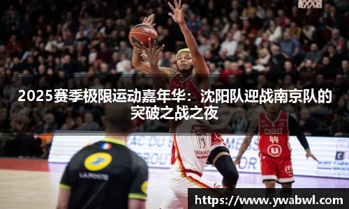 必一运动体育官网