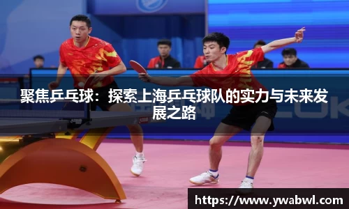 必一运动体育APP